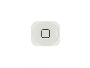 Reparación botón Home iPhone 5 Blanco