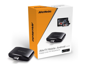 Avermedia AverTV Mobile 310
