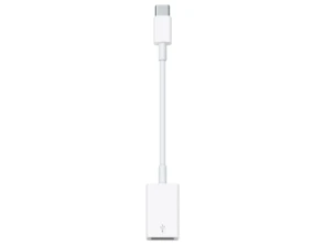 Adaptador Apple USB-C a USB - Accesorio Notebook