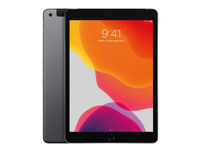 Apple iPad 10.2 2019 32 GB Gris Espacial Wifi MW6A2TY/A
