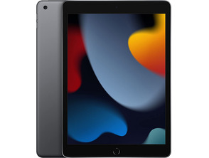 Apple iPad 10.2 2021 9th WiFi 64GB Gris Espacial MK2K3TY/A