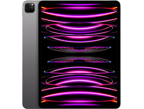 Apple iPad Pro 11'' 2022 Wifi 1TB Space Grey MNXW3TY/A