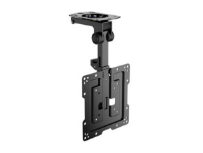 Soporte de Techo Giratorio y Plegable para TV de 19-43" - Aisens CT43S-187