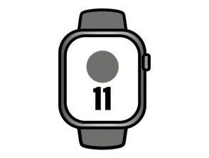 Titanio Natural Apple Watch Series 11 46mm GPS/ Cellular con Correa Deportiva Gris Piedra M