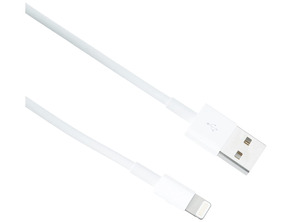Cable de Carga Apple MD819ZM/A Lightning a USB (2m)