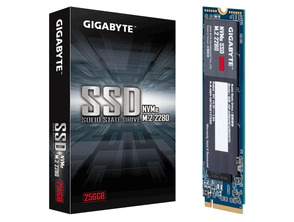 Disco Duro Gigabyte GP-GSM2NE3256GNTD SSD NVMe M.2 256 GB 2280