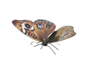 MAQUETA 3D METAL FASCINATIONS MARIPOSA BUCKEYE - SIN PEGAMENTO NI SOLDADURA