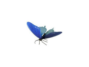 Maqueta Mariposa Pipervine Swallowtail 3D Metal Fascinations - Montaje Sin Pegamento Ni Soldadura