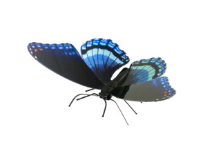 MAQUETA 3D METAL MARIPOSA RED-SPOTTED PURPLE FASCINATIONS - SIN PEGAMENTO NI SOLDADURA