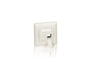MARCO ROSETA 50 X 50 CONECTORES KEYSTONE 45º BLANCO - Equip RJ45
