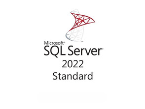 Microsoft SQL Server 2022 Standar DVD + 5 Licencias de Usuario