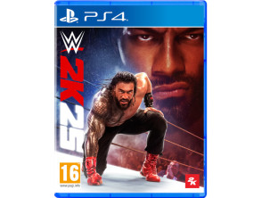 WWE 2K25