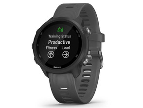 Reloj Deportivo Garmin Forerunner 245 Gris GPS/Pusioximetro