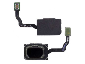 Añadir a la cesta Reparación Botón Home con Membrana Samsung Galaxy S9/S9 Plus - Negro Reparación Botón Home con Membrana Samsung Galaxy S9/S9 Plus - Negro