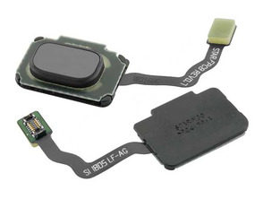 Repuesto Botón Home con Membrana - Samsung Galaxy S9/S9 Plus Gris