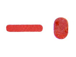 Añadir a la cesta Repuesto Sensor de Humedad - iPhone 7 Repuesto Sensor de Humedad - iPhone 7