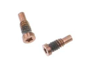 Repuesto Tornillos Externos - iPhone 8 / 8 Plus Oro