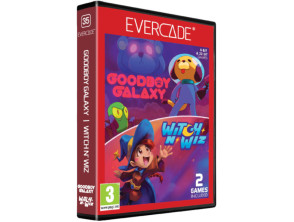 EVERCADE GOODBOY GALAXY & WITCH N WIZ