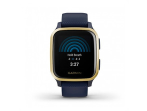 Smartwatch Garmin Venu SQ Music Blue/Light Gold