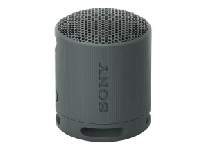 Altavoz Sony SRS-XB100 Negro
