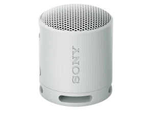 Sony SRS-XB100 Gris