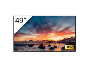 Televisor Sony Bravia FWD-49X81H/T1 49'' 4K