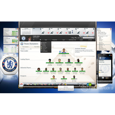 FIFA Manager 13 PC