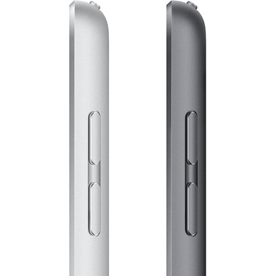 Apple iPad 10.2 2021 9th WiFi 64GB Gris Espacial MK2K3TY/A