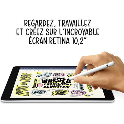 Apple iPad 9ª Gen. 10,2" (2021) 256GB WIFI + CELL Space Gray Reacondicionado Grado A+