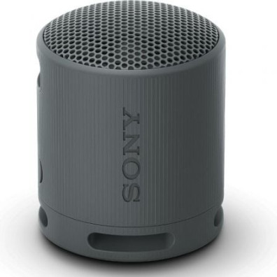 Altavoz Portable Sony XB100 con Bluetooth 2.0