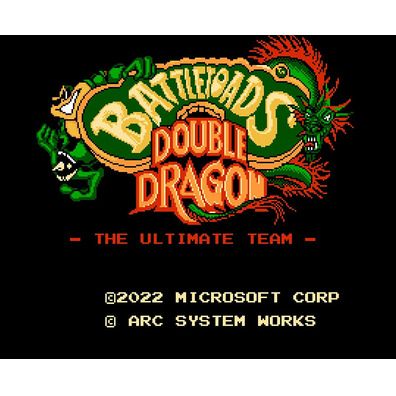 Battletoads & Double Dragon