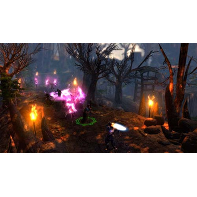 Dungeon Siege III Xbox 360