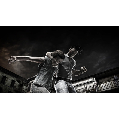 The Fight (Move) PS3