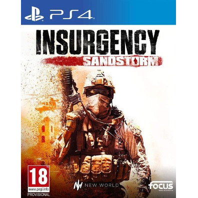 Insurgency Sandstorm PS4