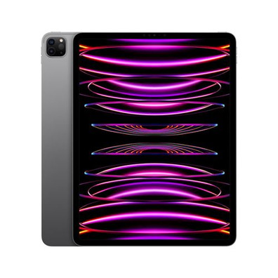 iPad Pro 2022 12,9'' M2 2 TB Wi-Fi + Gris espacial