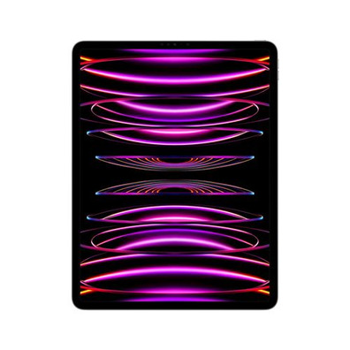 iPad Pro 2022 12,9'' M2 2 TB Wi-Fi + Gris espacial