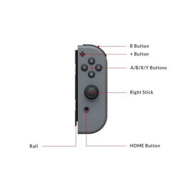 Joy-Con derecha (Right Grey) Nintendo Switch
