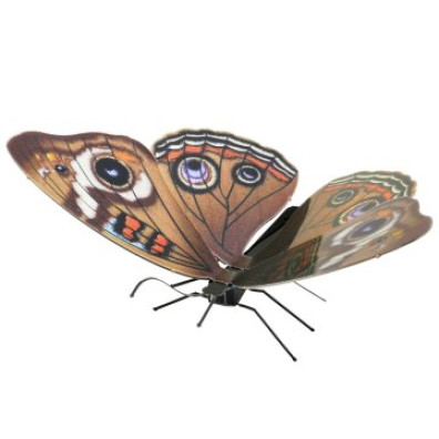 MAQUETA 3D METAL FASCINATIONS MARIPOSA BUCKEYE - SIN PEGAMENTO NI SOLDADURA