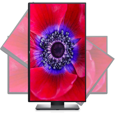 Monitor LED 25'' Dell Ultrasharp U2520D Negro