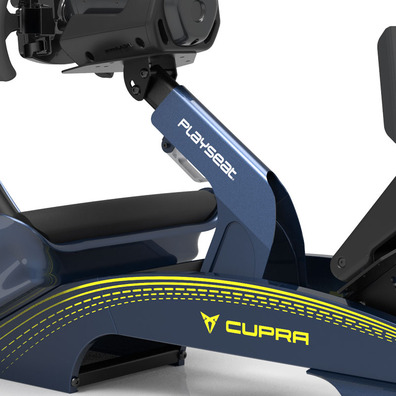 Playseat F1 Pro Cupra Racing Fórmula E