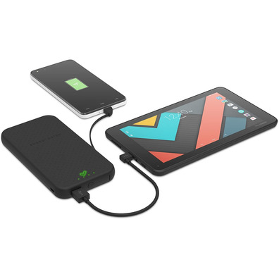 Powerbank Energy Sistem 10000 mAh Negro