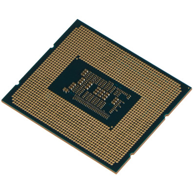 Procesador Intel Celeron 1700 G6900 3.4 GHz