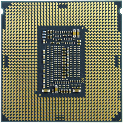 Procesador Intel Celeron G5905 3.5 GHz LGA 1200