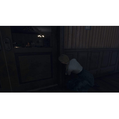 Remothered Broken Porcelain Switch