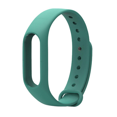 Repuesto Pulsera Xiaomi Mi Band 2 Verde