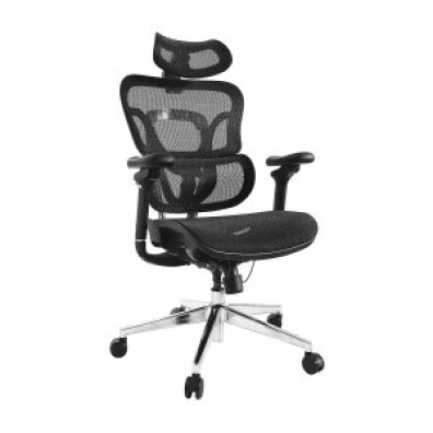 Silla de Oficina Ergonómica Equip 651051 Premium Negro Tapicería Malla 5 Posiciones