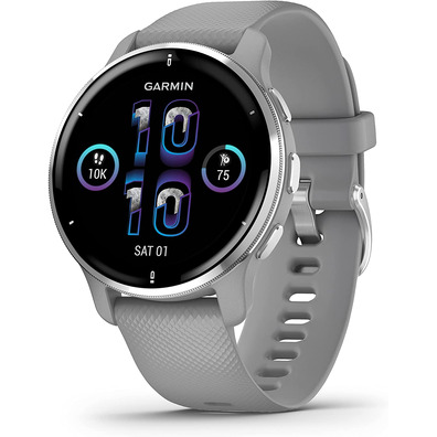 Smartwatch Garmin Venu 2 Plus GPS Plata y Gris