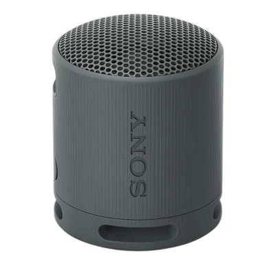 Altavoz Sony SRS-XB100 Negro