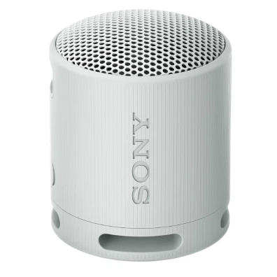 Sony SRS-XB100 Gris