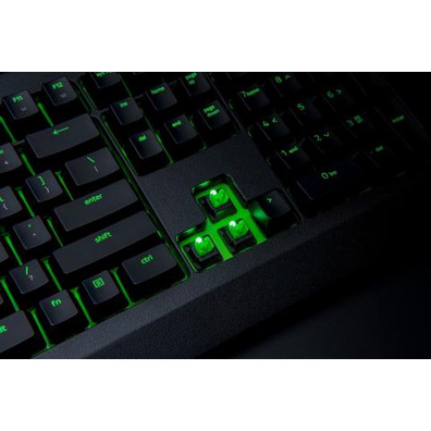 Teclado Razer Blackwidow Green Switch